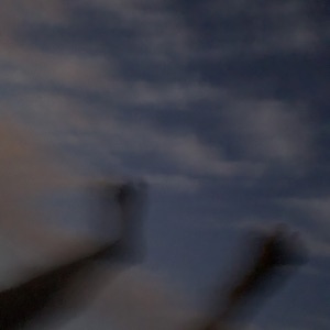Однажды - Single