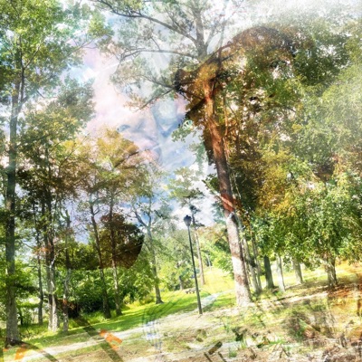 Loop In Love - Single