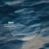 Estuary (feat. Christie) [Synkro Remix] artwork
