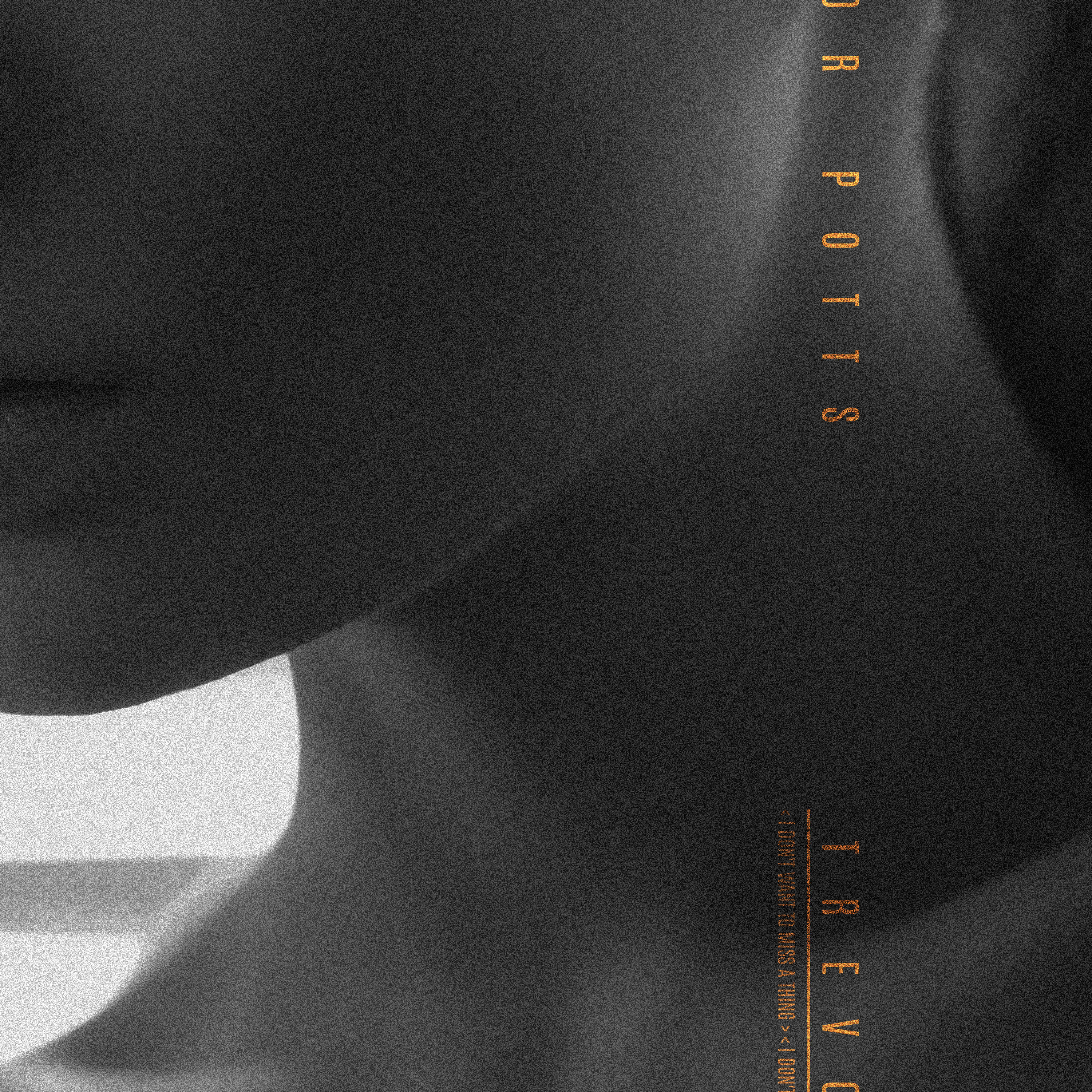 I Don't Want to Miss a Thing - Single