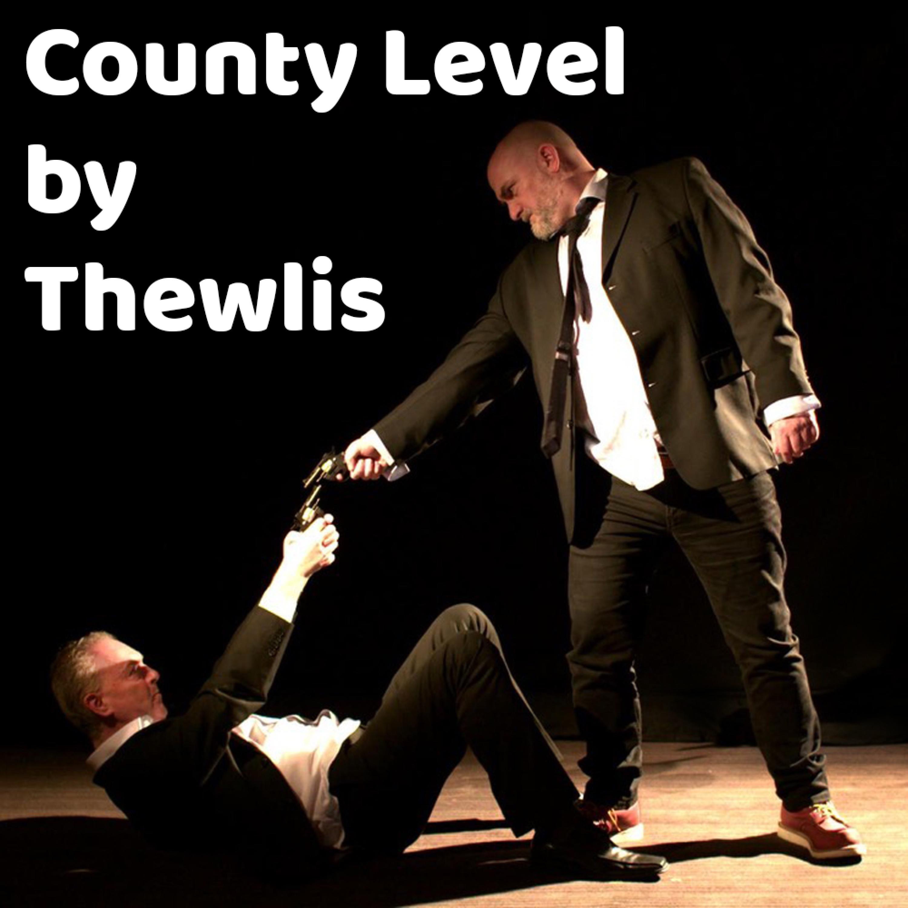 County Level - Single