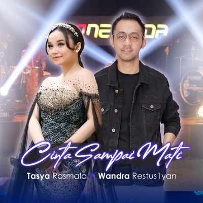 Cinta Sampai Mati (feat. Wandra Restus1yan) - Single