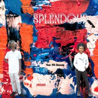 Splendour (Radio Edit) [Radio Edit] [feat. NB Shawdy] - Single - MOSiiWA