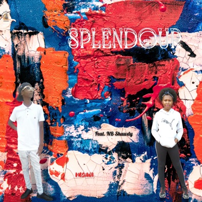 Splendour (Radio Edit) [Radio Edit] [feat. NB Shawdy] - Single
