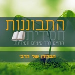 תפקידו של הרבי - Single