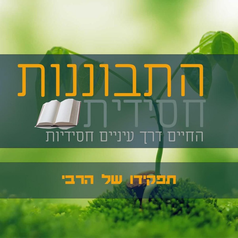 תפקידו של הרבי