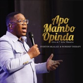Apo Mambo Opinda (Live Performance) artwork