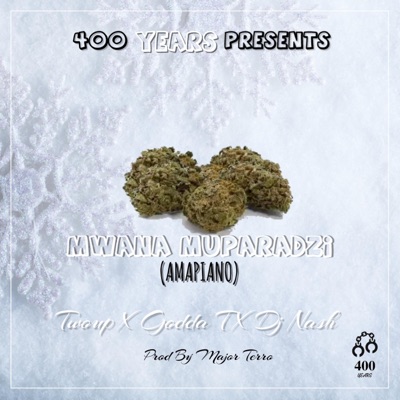 Mwana muparadzi (feat. Godda T X DJ NASh) [Radio Edit] - Single