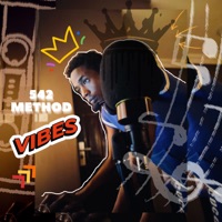 Vibes - Single - 542 Method