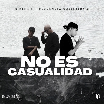 No Es Casualidad (feat. frecuencia callejera 3) - Single