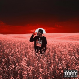 DO IT AGAIN (feat. Karma Knows & Shayhan) Topp