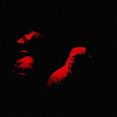 TERRAIN VAGUE - Single