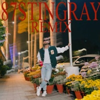 87Stingray Hindi - Single - Cyclone