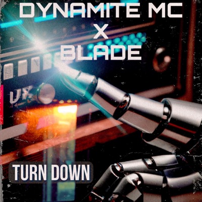 Turn Down (feat. Blade (Dnb)) - Single