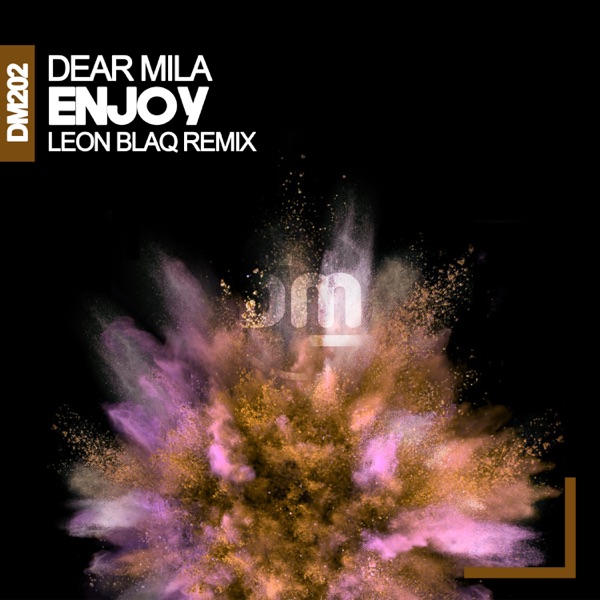 Enjoy (Leon Blaq Remix) - Single