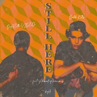 STILL HERE - Single - ANDA