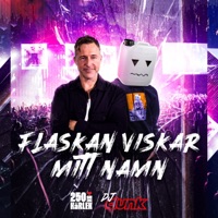 FLASKAN VISKAR MITT NAMN - Single - 250 kg kärlek & DJ DUNK