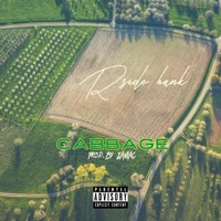 Cabbage - Single - Rside Hank
