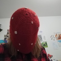 Mushroom Kid - Single - Amanito