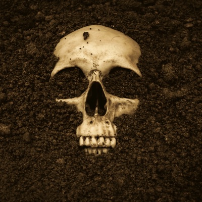 Regreso a la Tierra - Single