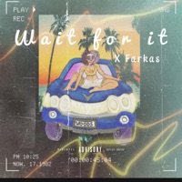 Wait for it (feat. Farkas) - Single - M. Woods