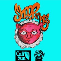 Sheep and the Pigs - Single - Cali Sun
