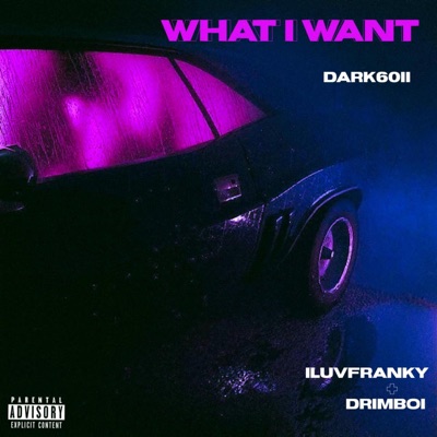 What i want (feat. Iluvfranky & Darkk6oii) - Single