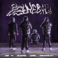 Pełne Bagi (feat. camel, tobiaszslatt & Og Wigga) - Single - Hub