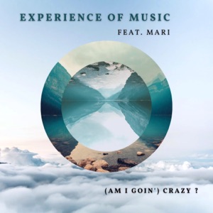(Am I Goin') Crazy [feat. Mari] - Single