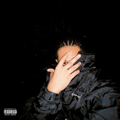NEVER LOSE MY COOL (feat. Cito Gakso, Slayla, jamest, GALLYGLITCH & Ave) [Remix] - Single