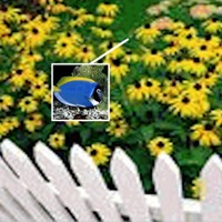 Blue :/ - Single - Nomark & Pr0xy