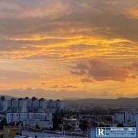 Wasted - Single - Isolated & Toneey