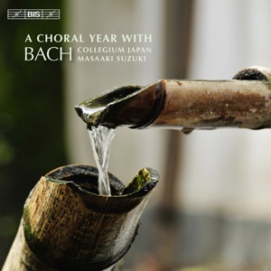 Herr, deine Augen sehen nach dem Glauben, BWV 102: Pt. I: Herr, deine Augen sehen nach dem Glauben (Chorus)