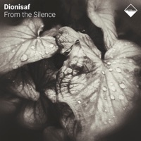 From the Silence - Dionisaf