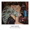 Cozy Nights - Single