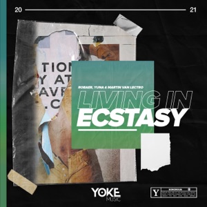 Living in Ecstasy - Single
