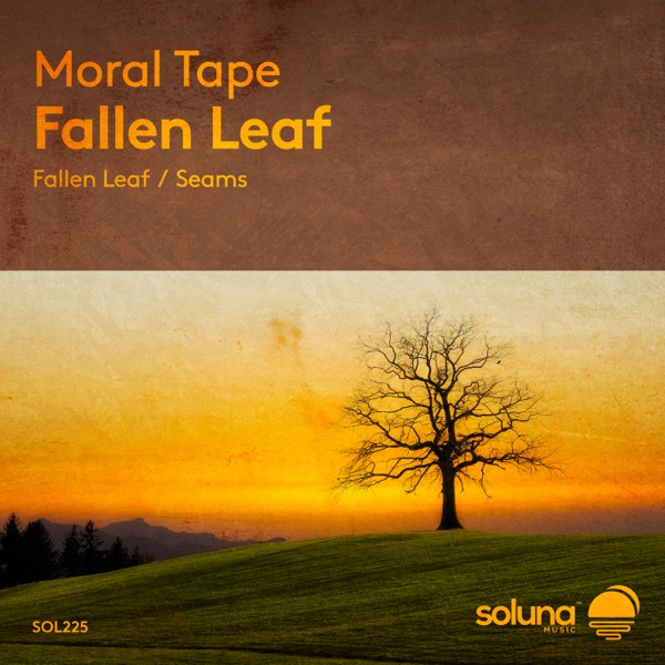Fallen Leaf - Single