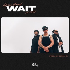 WAIT (feat. CRSB) - Single