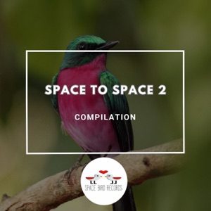 Space to Space 2
