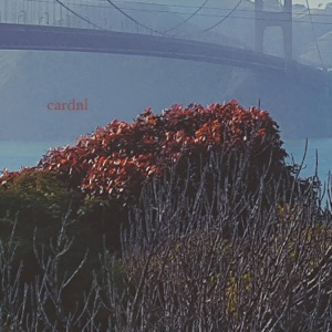 In Dreams - Single