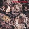Love Is A Wonderful Colour - The Icicle Works