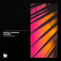 Coming Down — White x Wakeup