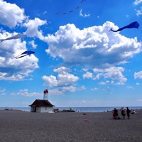 Sailed Into Winds - Single - Alexandre Molodkov