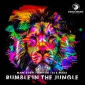 Rumble in the Jungle artwork