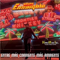 ENTRE MAS CORRIENTE MAS AMBIENTE