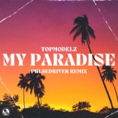 My Paradise (Pulsedriver Remix) artwork