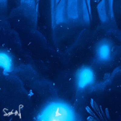 Sleepy Guitars - Single