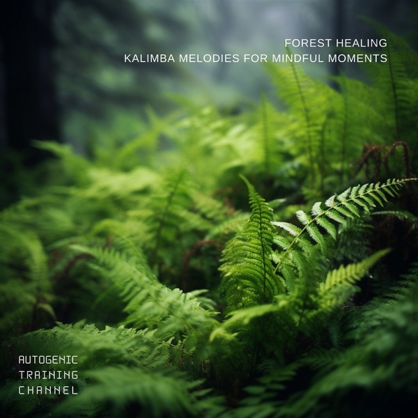 Forest Healing: Kalimba Melodies for Mindful Moments