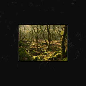 Copse / Submerse - Single