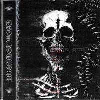 Woah! - Single - PROPHET